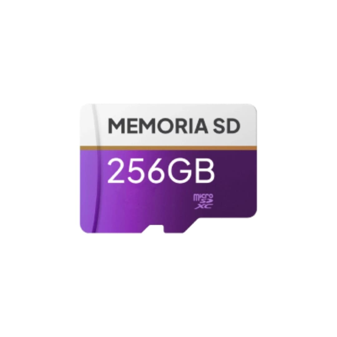 Tarjeta de Memoria SD 256GB - Para cámaras de seguridad